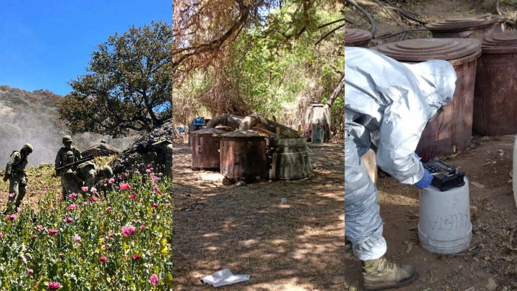 Por: Cortesía Destruye Sedena y Fuerza Aérea Mexicana laboratorios clandestinos y 10 hectáreas de amapola