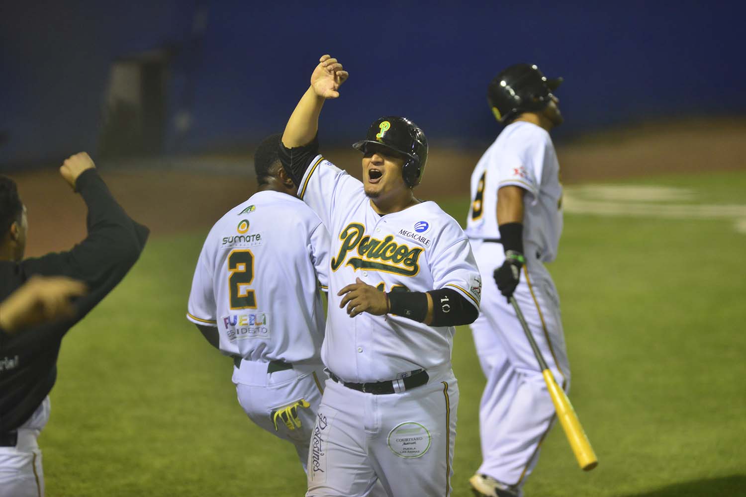 Por: Cortesía Con el sueño del campeonato, Pericos inicia su vuelo en Veracruz