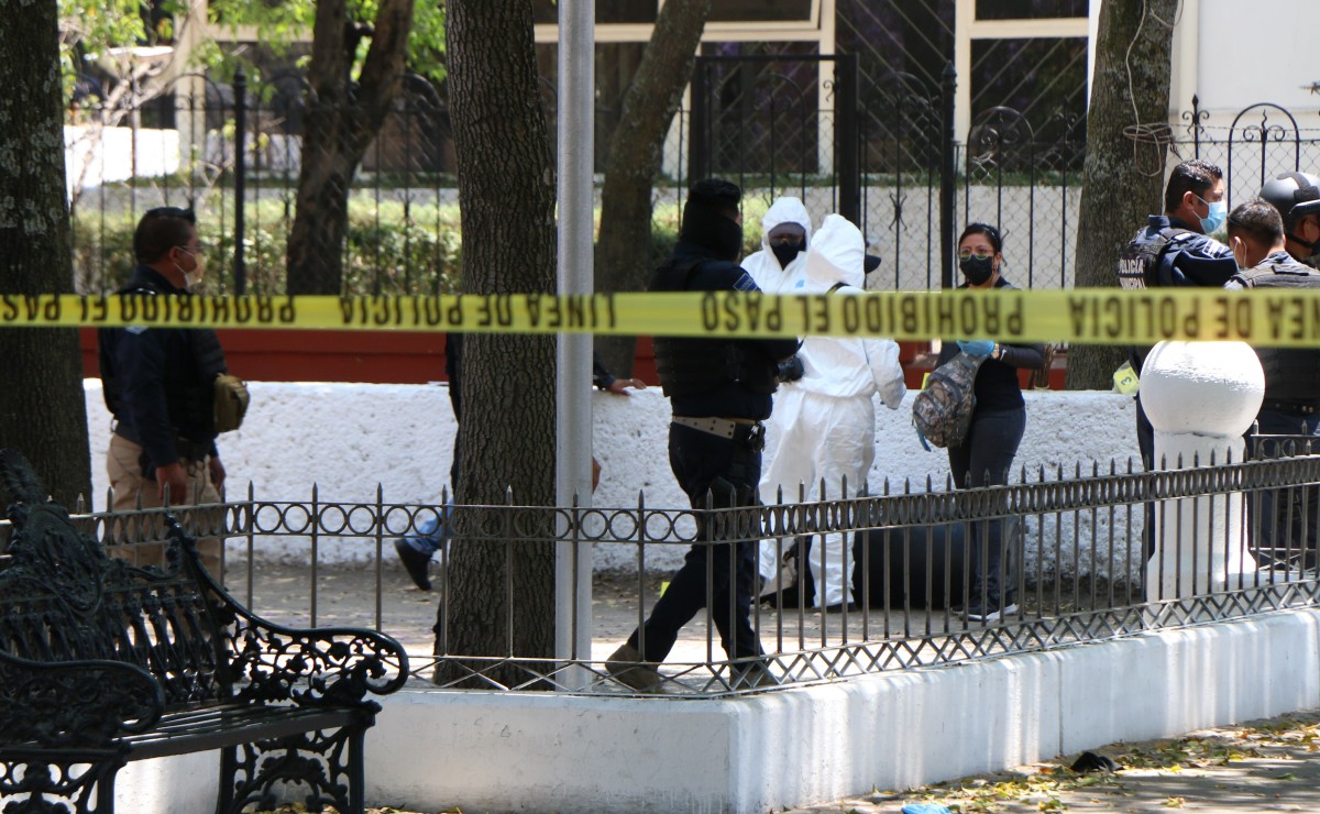 Cámaras de video vigilancia captaron abandono de cuerpo en Parque de Las Ninfas