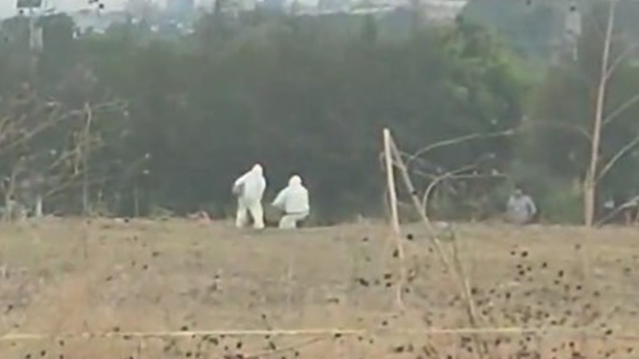 Por: Cortesía En Cuautlancingo fueron encontrados restos humanos en el Parque el Ameyal