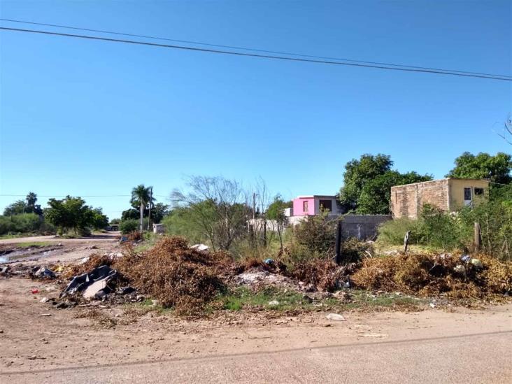 Por: Cortesía Ayuntamiento identifica 20 lotes baldíos que representan un peligro