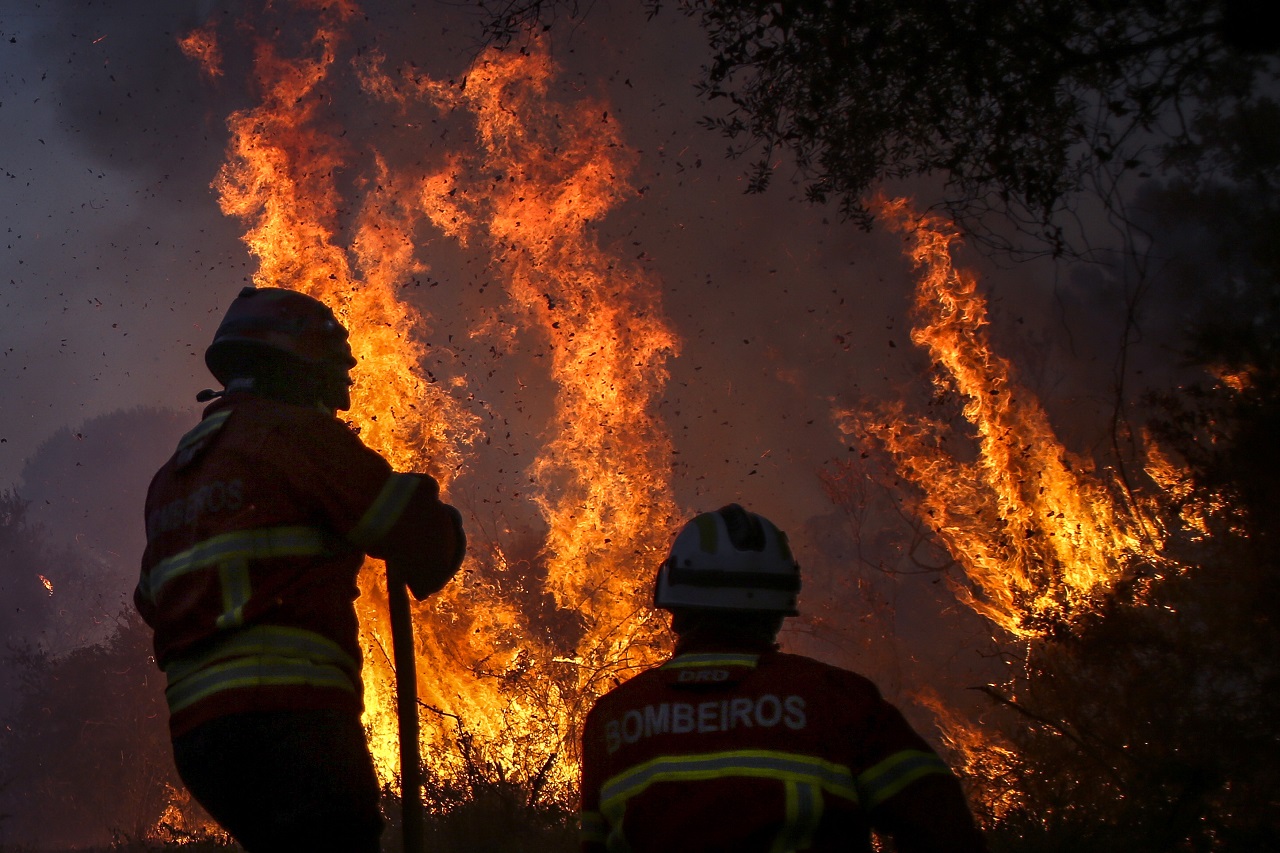 Por: Cortesía ¿Cómo se clasifican los incendios forestales y cuál es el tipo más destructivo?