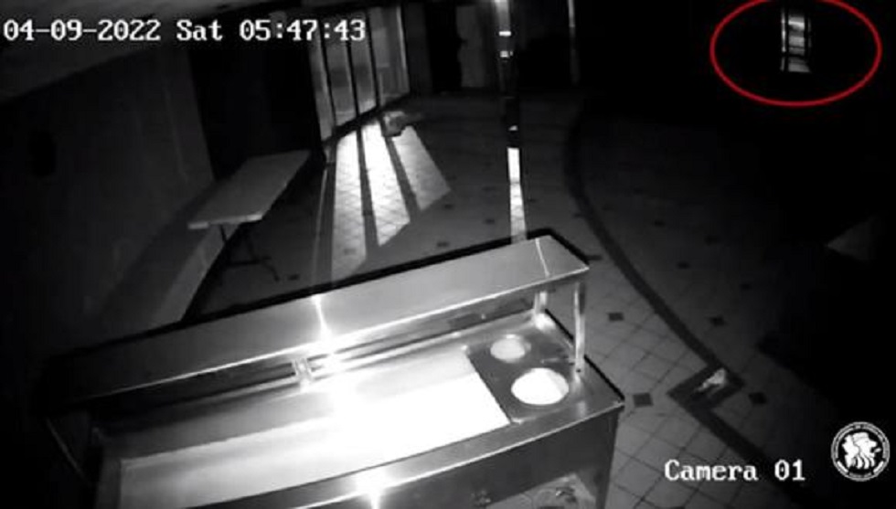 Por: Cortesía Revelan nuevos detalles del caso de Debanhi, fiscalía analiza video de silueta, que se asemeja de Debanhi, acercarse a un auto