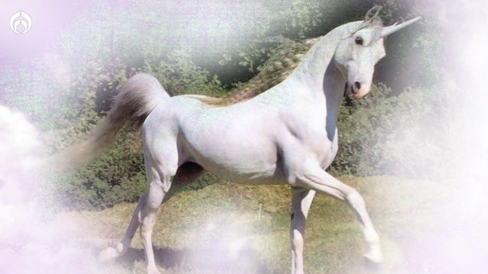 Por: Cortesía Te explicamos la existencia de los "unicornios" y el por qué son valuados en mil millones de dólares