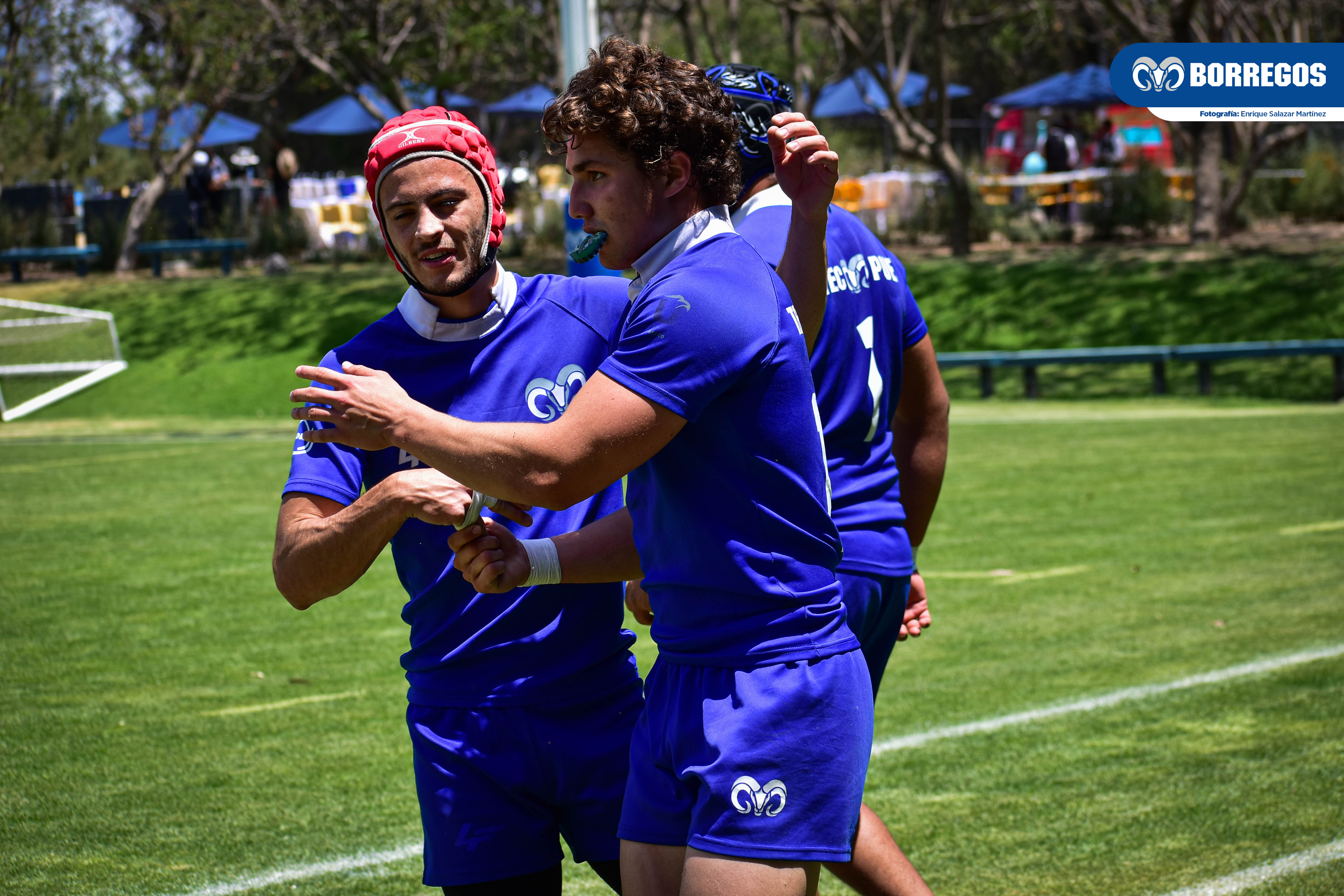 Por: Cortesía Pensando en el título, Borregos Puebla arranca el Nacional de Rugby