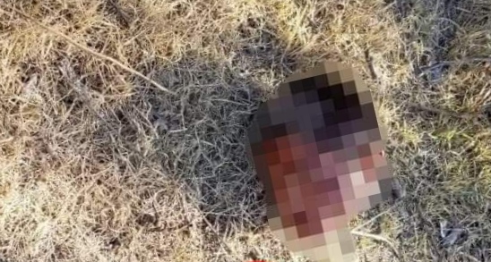 Por: Cortesía Restos humanos fueron hallados en San Gabriel Tetzoyocan, municipio de Yehualtepec