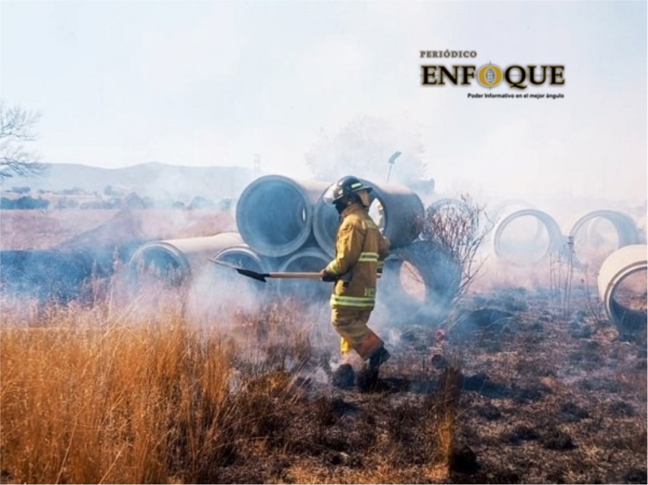 Por: Marisol Oropeza