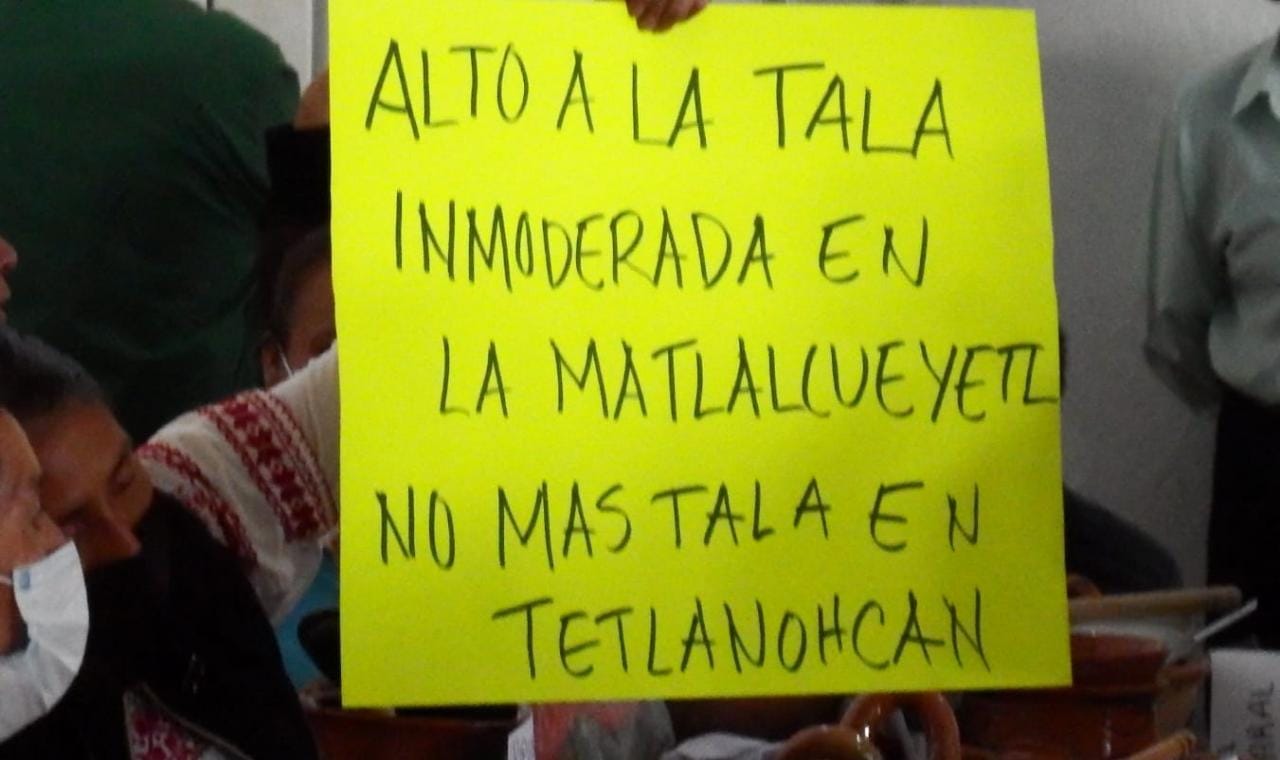 Denuncian pobladores de Tetlanohcan tala inmoderada en la Malinche