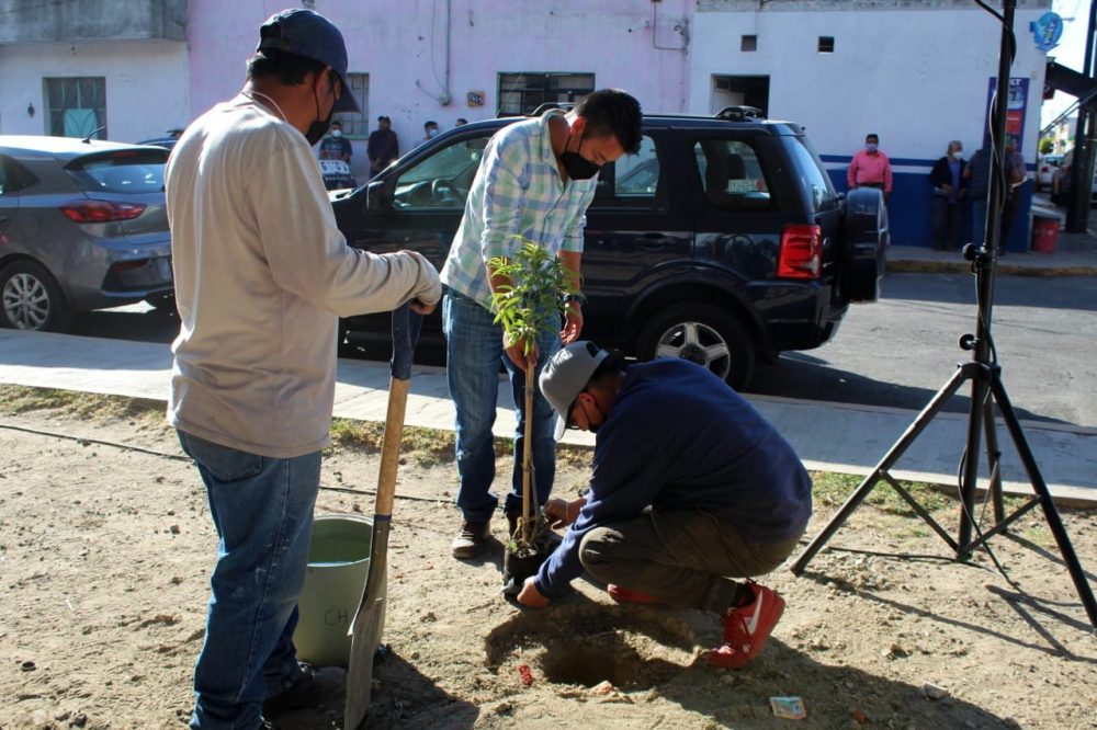 Siembran 14 mil árboles en la capital poblana