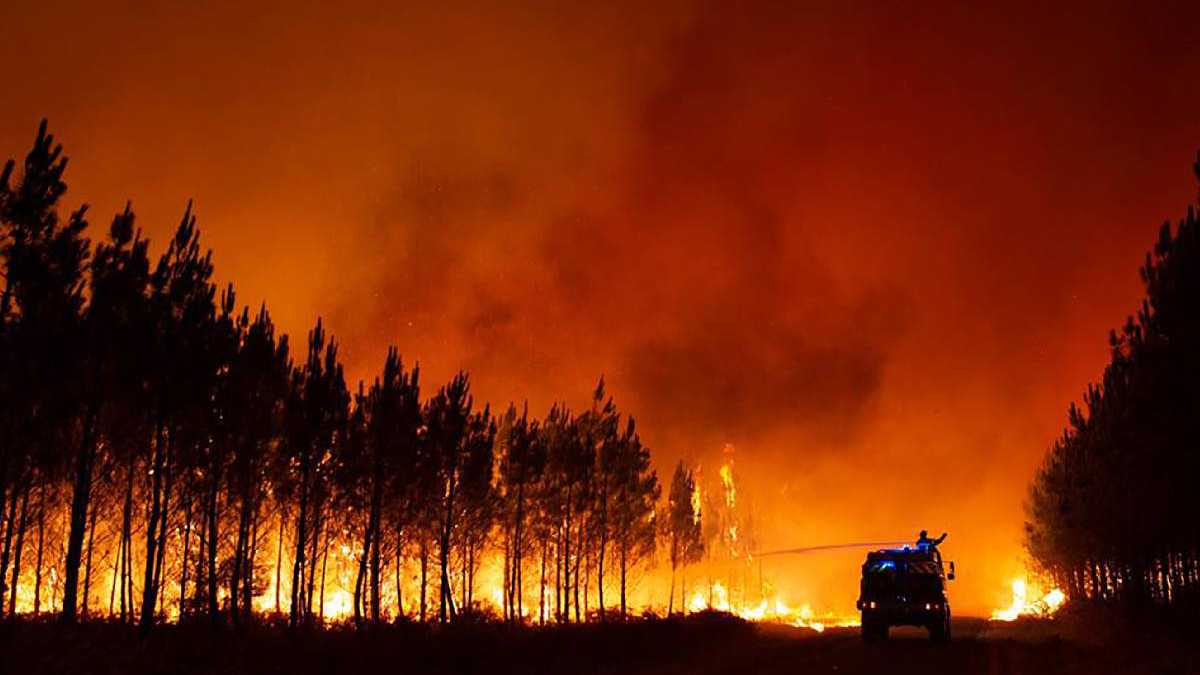 Por: Cortesía Incendio forestal en España ha arrasado con más de 10 mil hectáreas