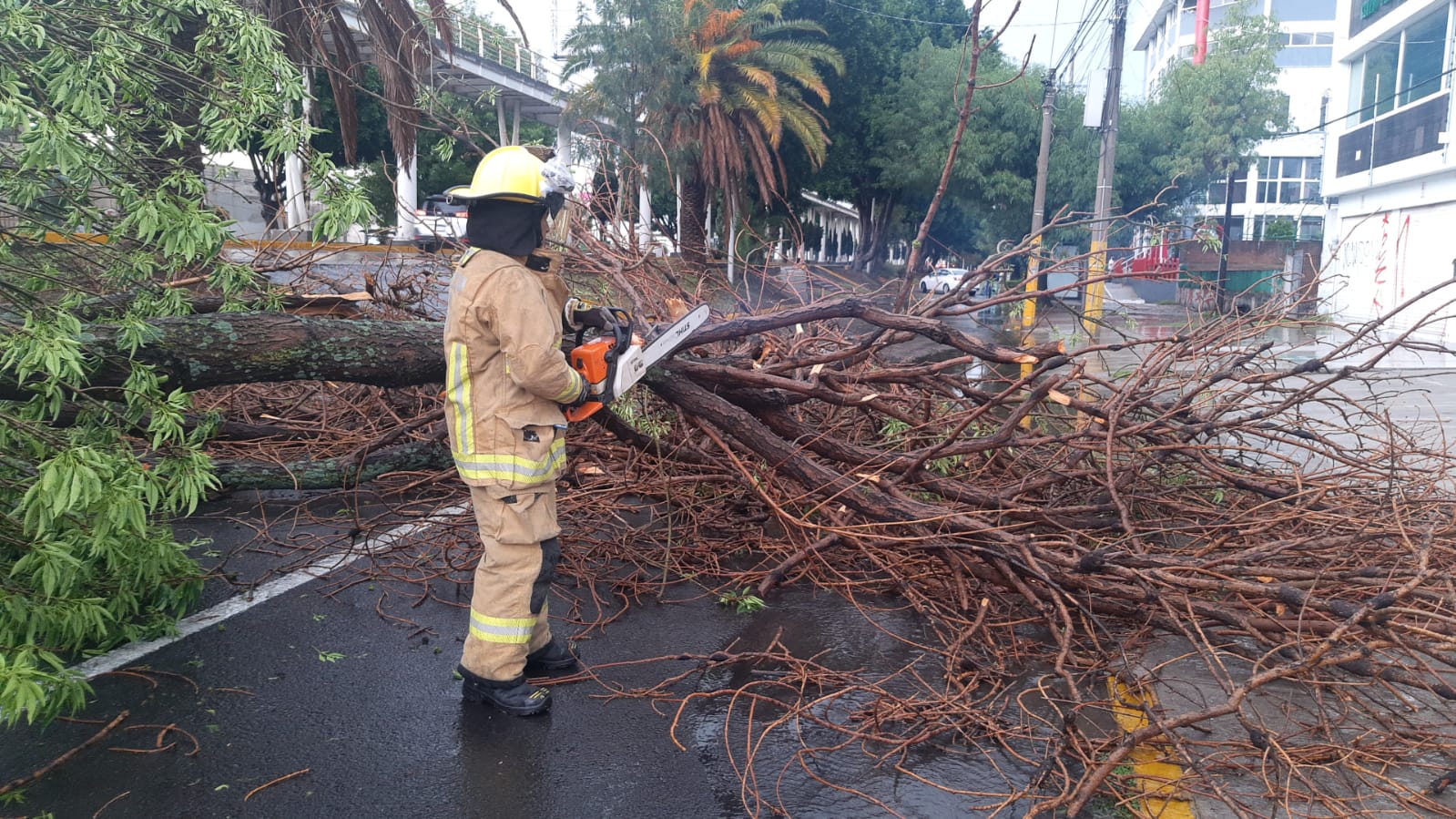 Por: Cortesía Recibe Protección Civil 47 llamadas de auxilio por lluvias
