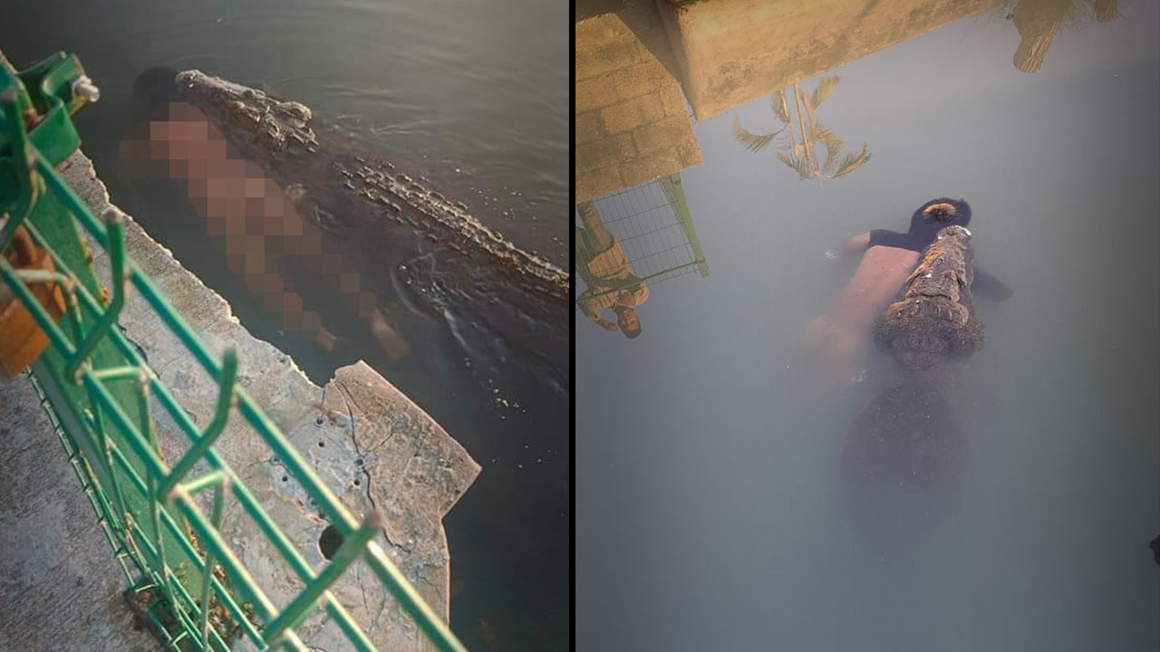 Por: Cortesía (VIDEO) Hombre se mete a "nadar" a Laguna del Carpintero en Tampico y muere al ser atacado por un cocodrilo