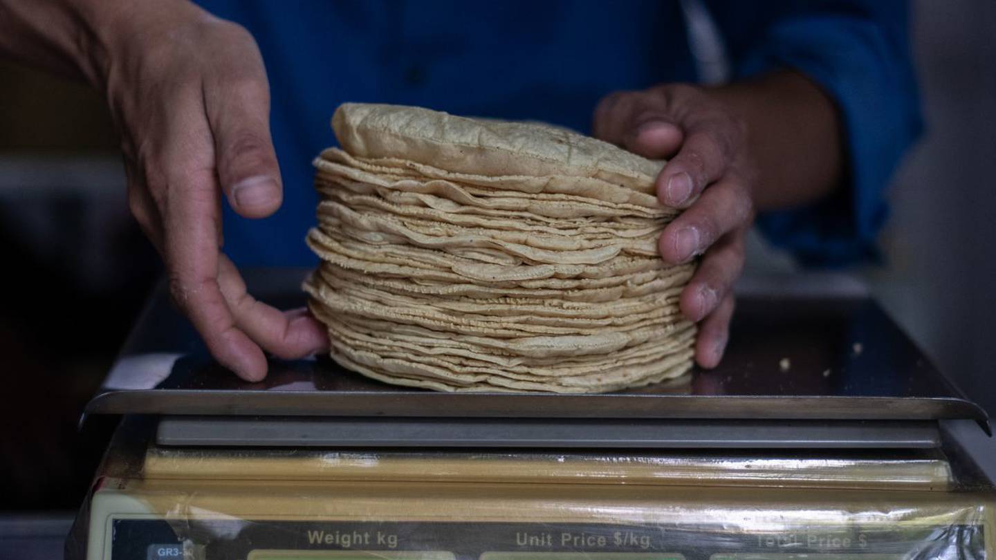 Por: Cortesía Kilo de tortilla llega hasta los 30 pesos en algunos establecimientos
