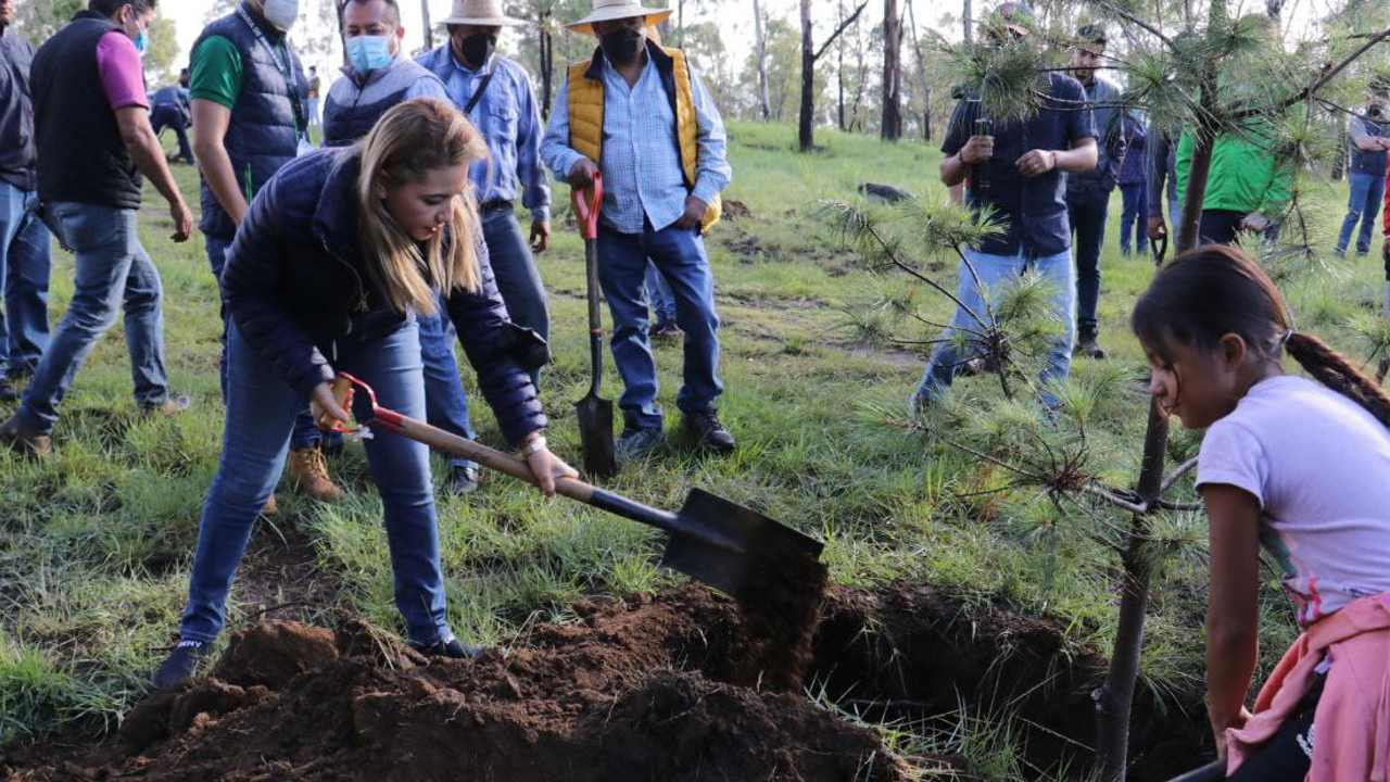 Por: Cortesía Gobierno de San Pedro Cholula efectuó una jornada de reforestación en el Cerro Zapotecas