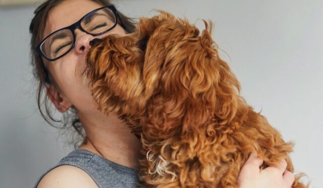 Por: Cortesía ¿Los perros lloran de alegría al reencontrarse con sus dueños?