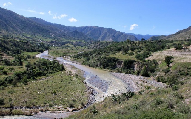 Campaña de gobierno estatal contempla siembre de hasta 20 millones de árboles