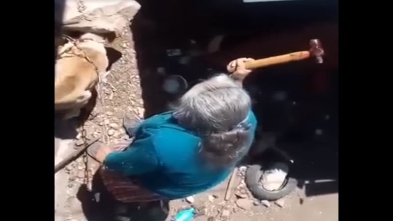 Por: Cortesía Ciudadanos exigen justicia para perrito que fue asesinado cruelmente a martillazos, por una mujer (Video)