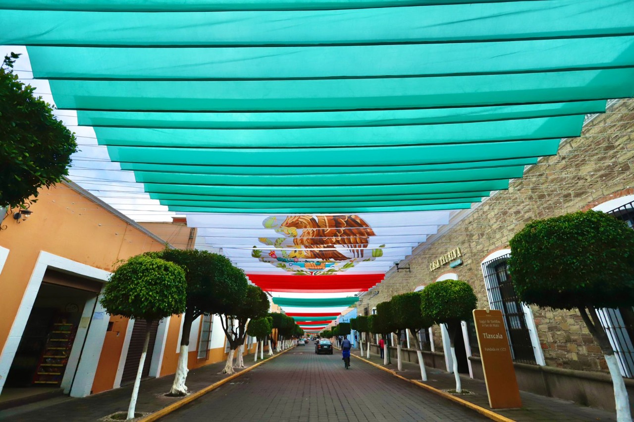 Realiza Gobierno Del Estado identidad nacional con decoración innovadora y creativa