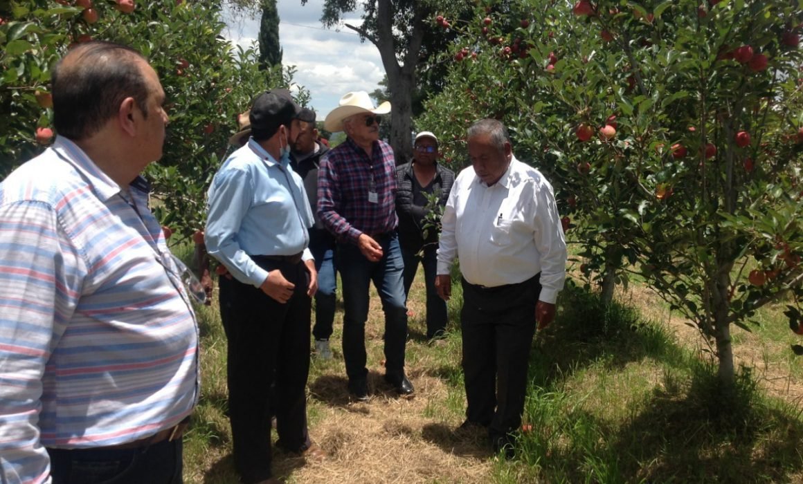Atiende SIA de forma directa a la población productora del estado 