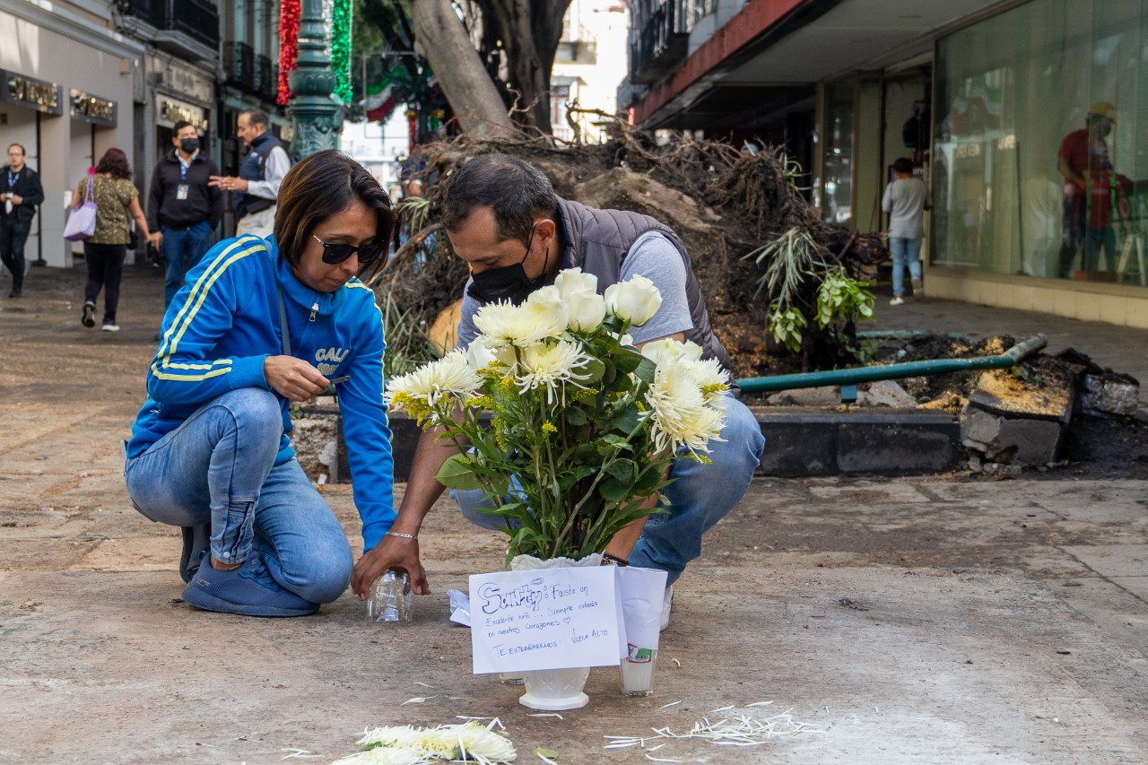 Por: Alex Muñoz Se brindará apoyo a familia de menor fallecido por caída de árbol en la 5 de mayo: Eduardo Rivera