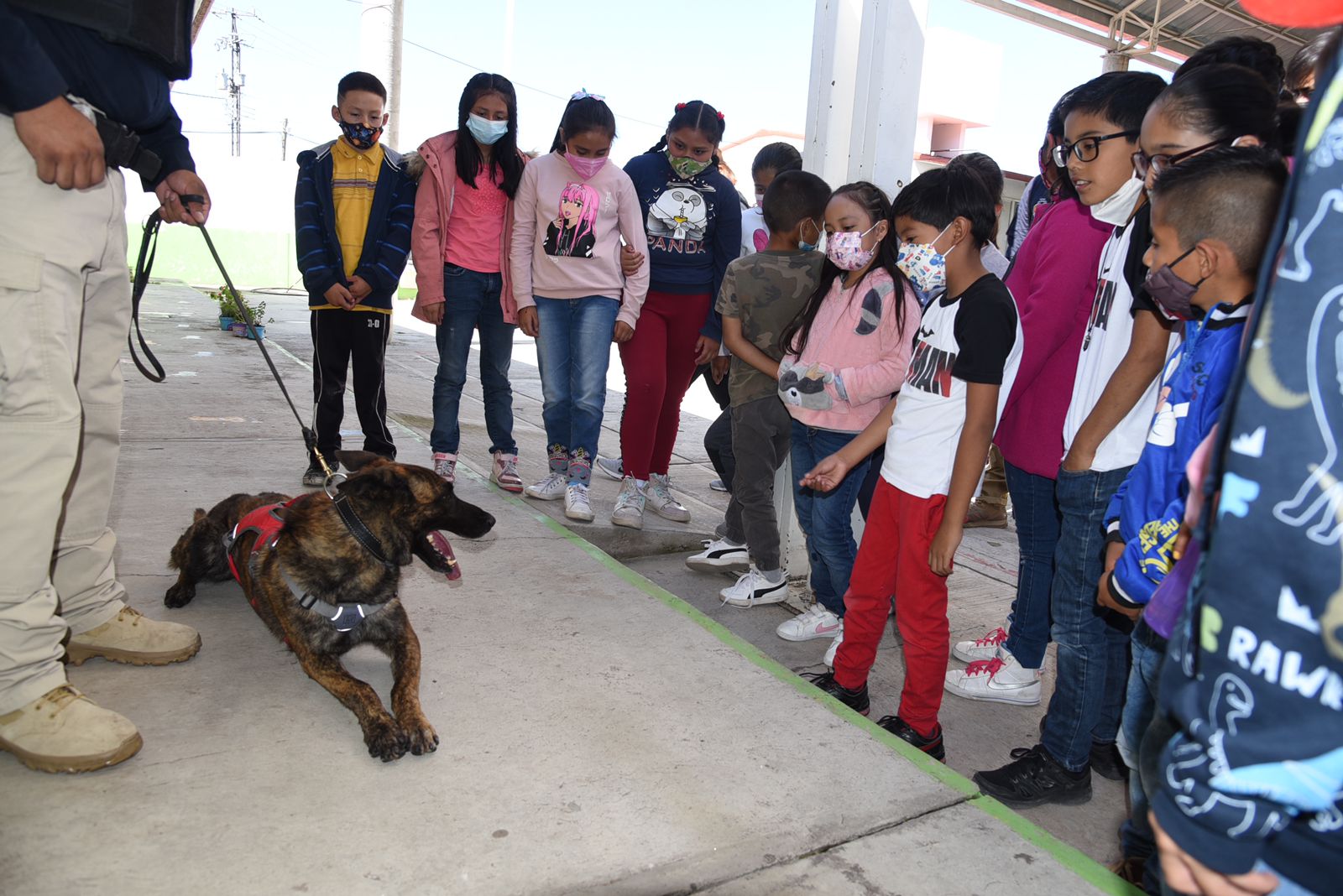 DIF de Tlaxcala lleva a cabo curso de verano para infantes de la capital