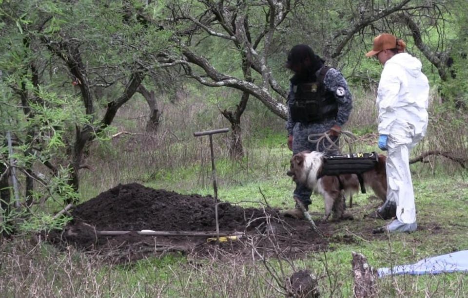 Terror en Michoacán: los cuerpos de 12 personas desaparecidas son hallados dentro de una "narcofosa"