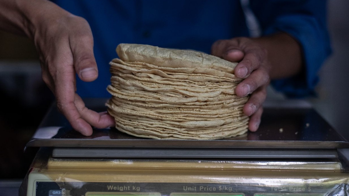 Por: Cortesía A causa de la inflación comienzan a surgir tortillas piratas; aquí te decimos cómo identificarlas