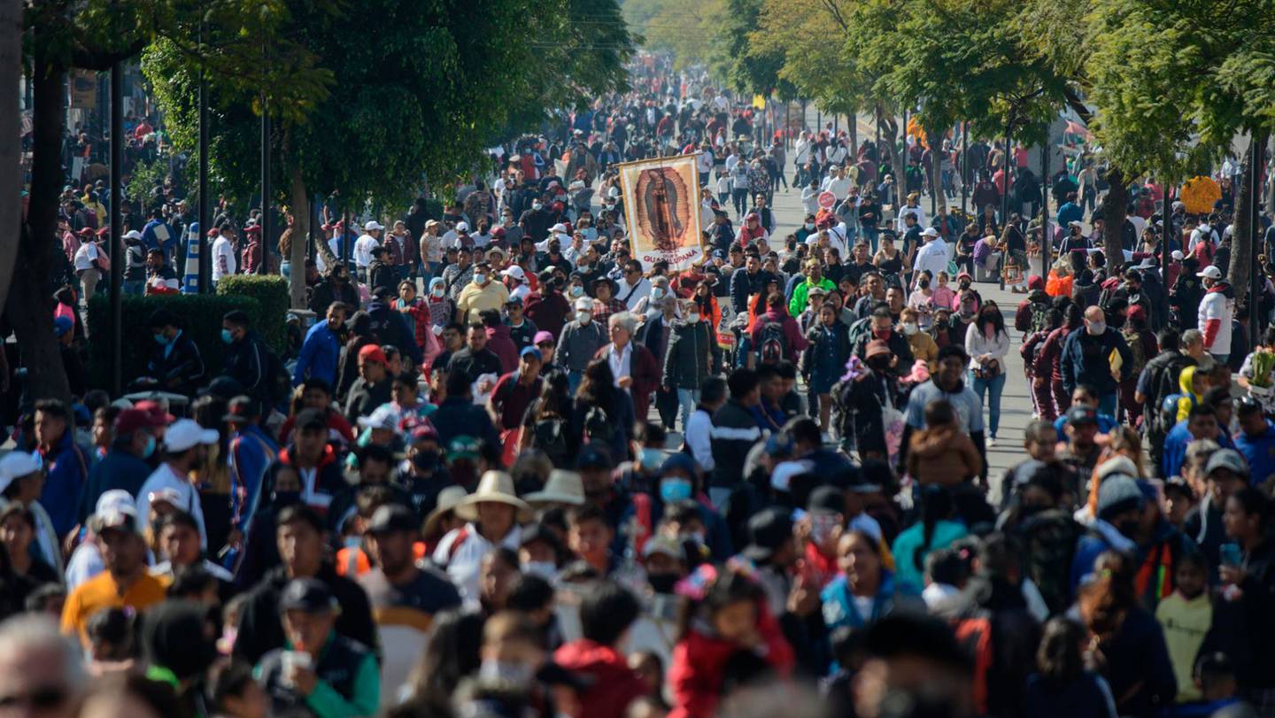 Por: Cortesía Desde kilómetros de distancia cerca de 3.1 millones de peregrinos volvieron este año a la Basílica de Guadalupe
