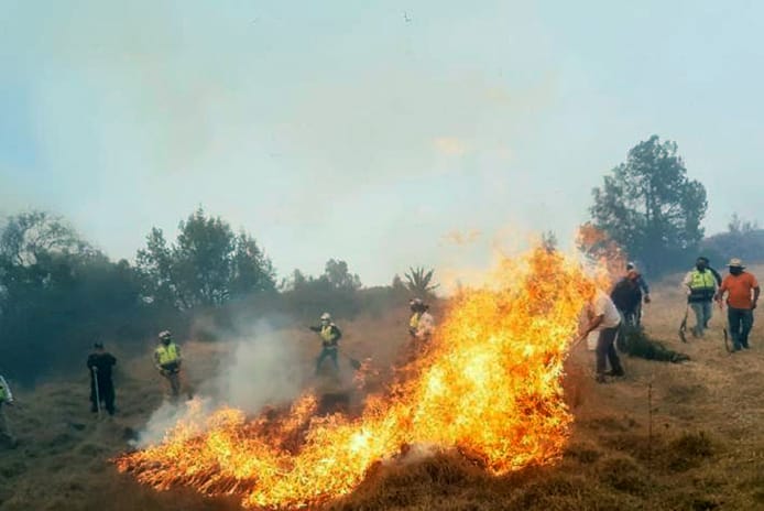 Registró Tlaxcala 122 incendios forestales de enero a diciembre