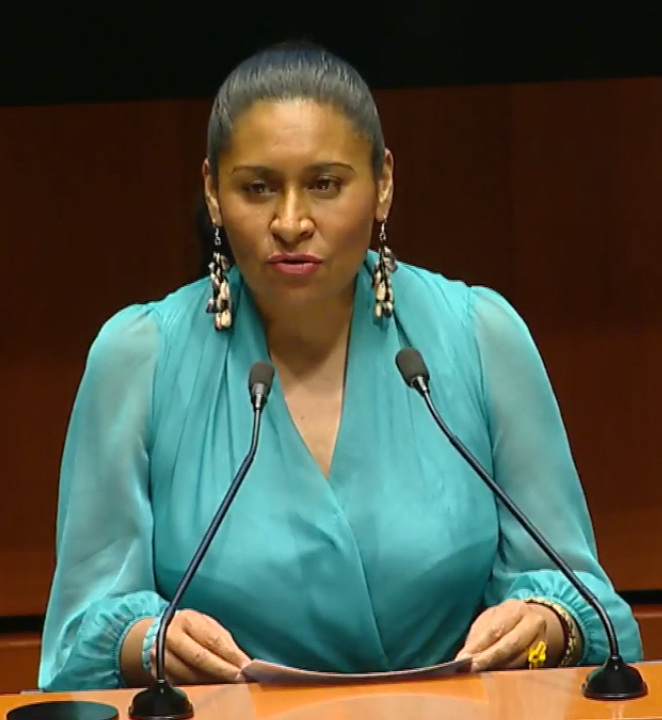 Ana Lilia votará a favor de Plan B de AMLO; avala austeridad electoral