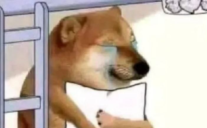 Estos son los mejores memes que dejó el presunto plagio de Bellakath con la canción "Gatita"