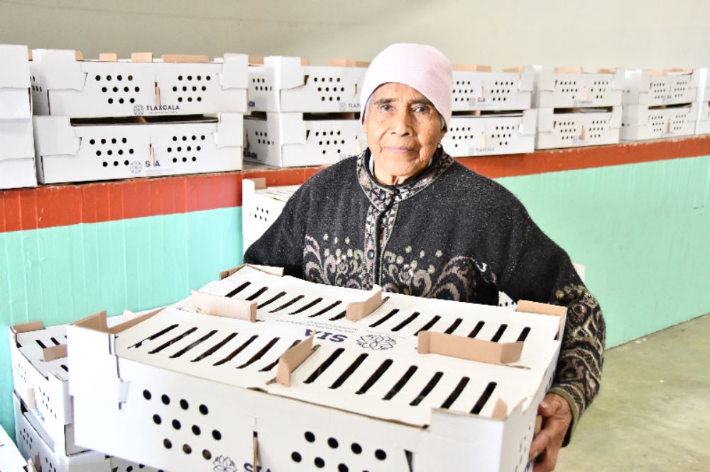 Por: Cortesía Convocan autoridades municipales y estatales adquirir los últimos paquetes de aves de postura a bajo costo
