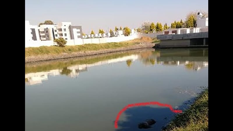 Por: Cortesía Localizan el cadaver de una persona flotando en planta de tratamiento de Huejotzingo