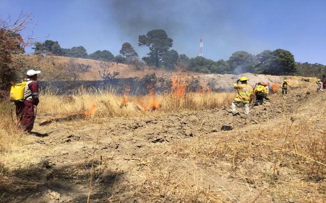 Por: Cortesía Puebla es la sexta entidada nivel nacional con mayor número de incendios forestales