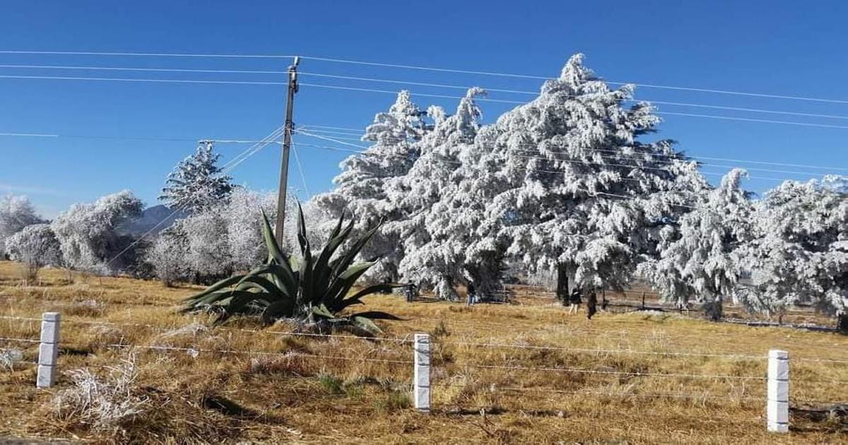Frente frio continua en el estado de Tlaxcala, se recomienda precauciones contra bajas temperatura