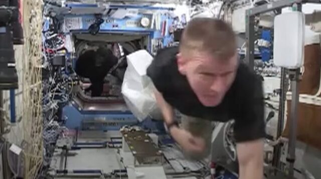 Por: Cortesía Astronauta se disfraza de gorila y hace la primera gran broma en el espacio