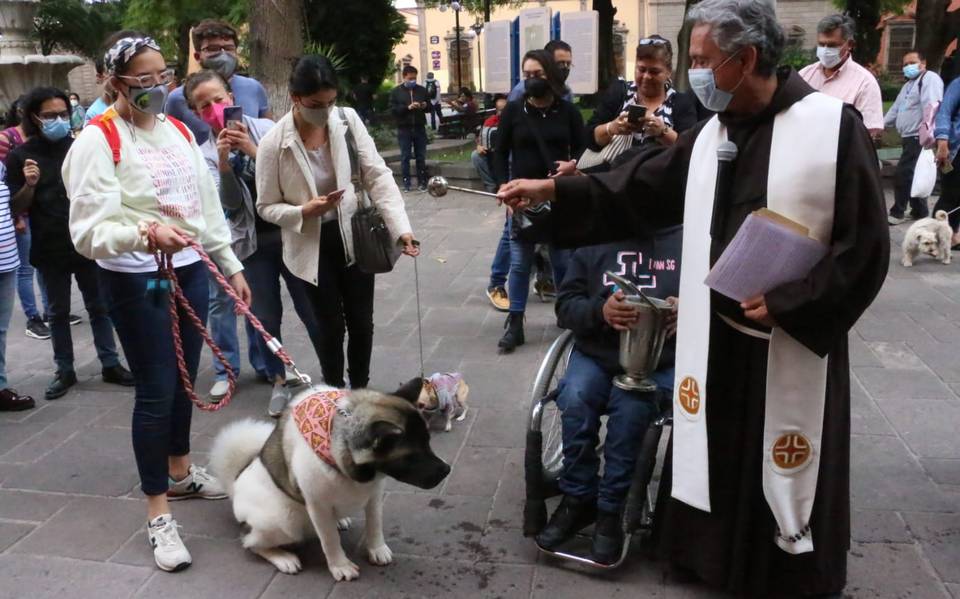 Foto Ilustrativa Parroquia de Santa Clara de Asís en Puebla convoca a bendición virtual de mascotas