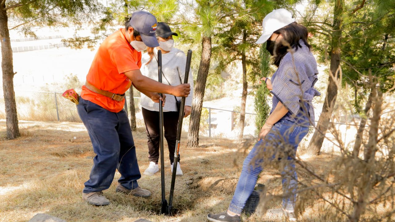 Por: Cortesía Ayuntamiento de San Andrés Cholula planta 100 árboles en el Cerro de San Miguel