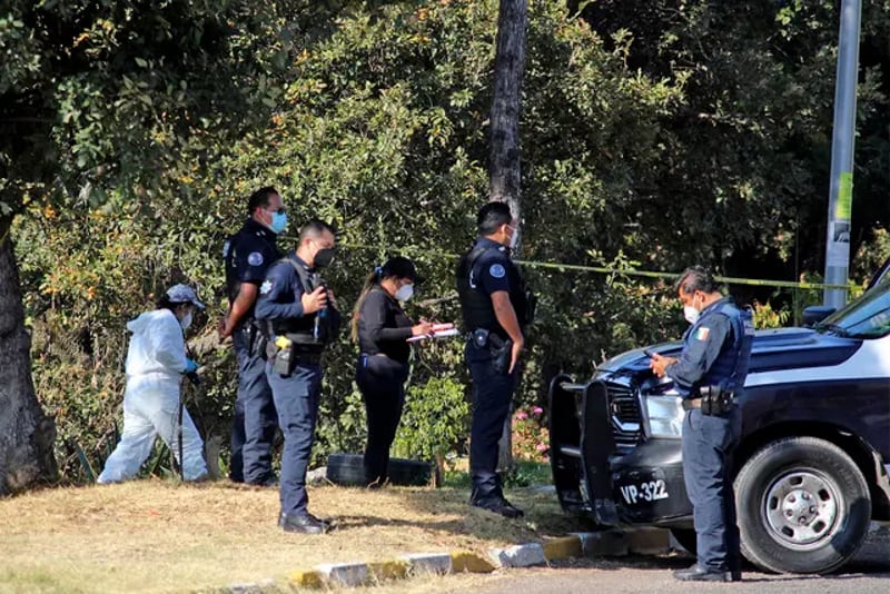 Por: Cortesía Hallan cadáver desmembrado en Bosques de San Sebastian; el cadaver estaba en la basura