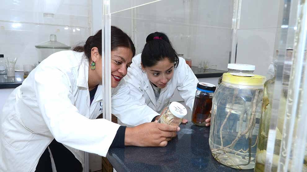 Por: Cortesía Las mujeres representan en la ciencia sólo el 12% de los miembros de las academias científicas nacionales