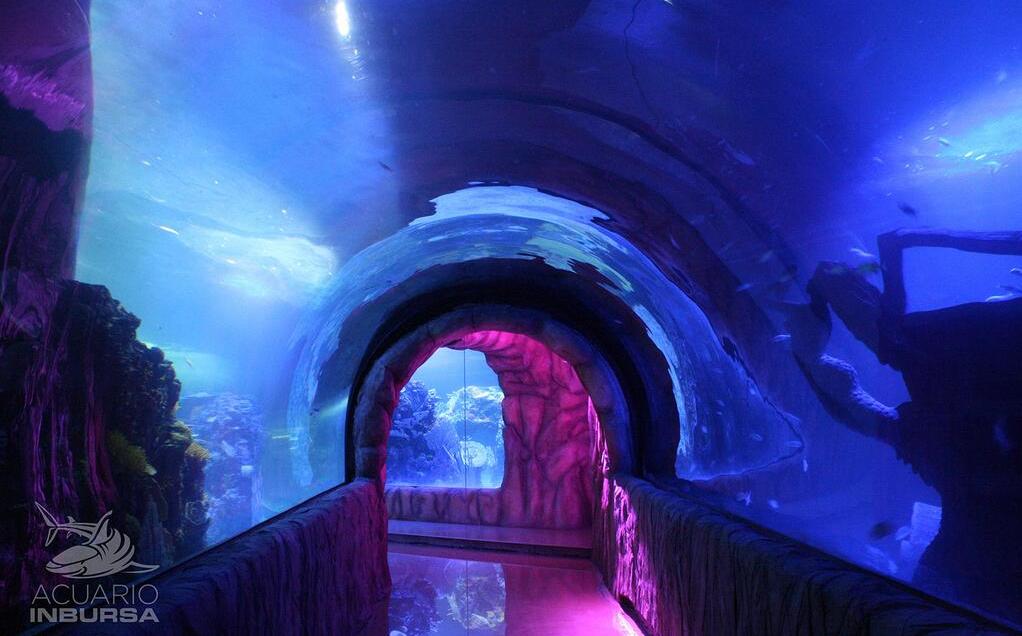 Por: Cortesía Muere buzo certificada en estanque del acuario Inbursa; Fiscalía de CDMX abre investigación