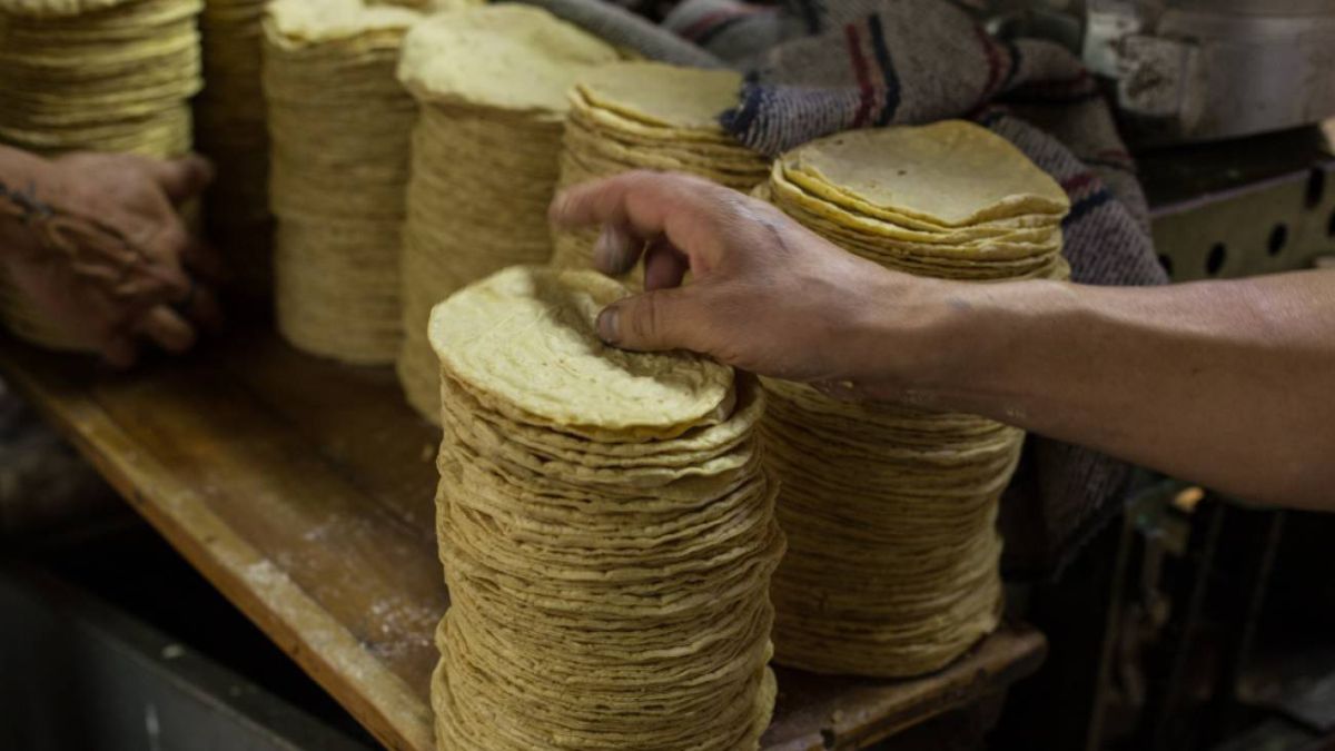 Por: Cortesía Comer una tortilla de calidad nixtamalizada y sin colorantes pronto será ley