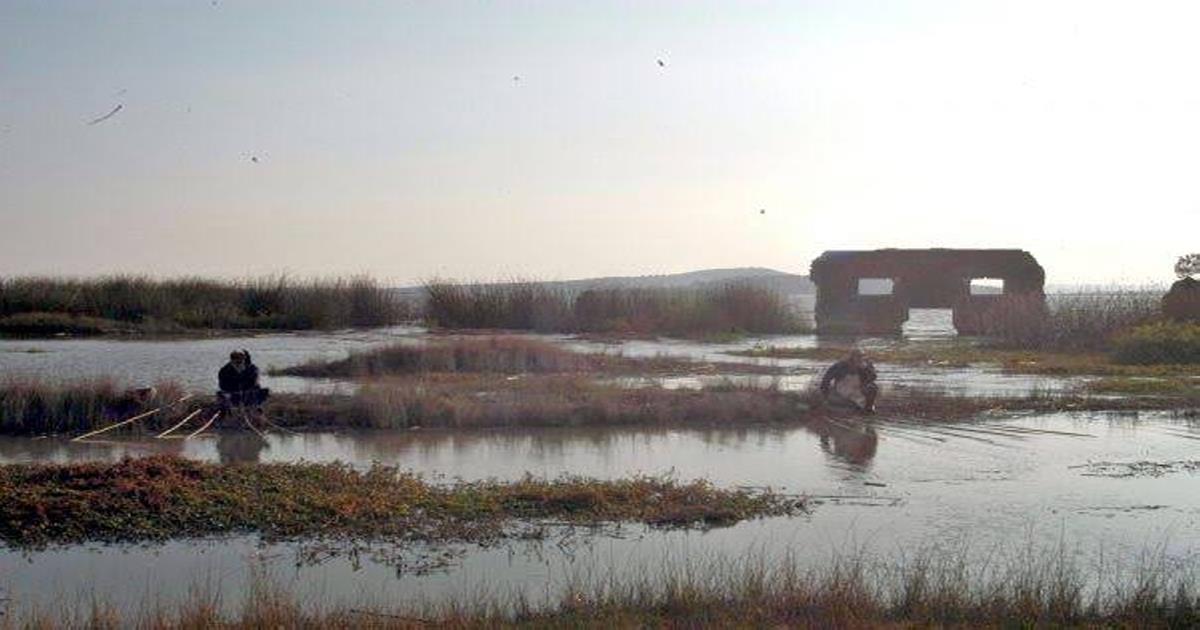 Por: Cortesía Contaminación en la presa de Atlangatepec genera afectaciones al sector acuícola