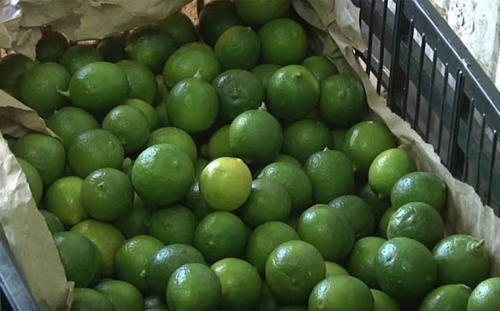 Por: Cortesía Al triple el precio del limón en Puebla