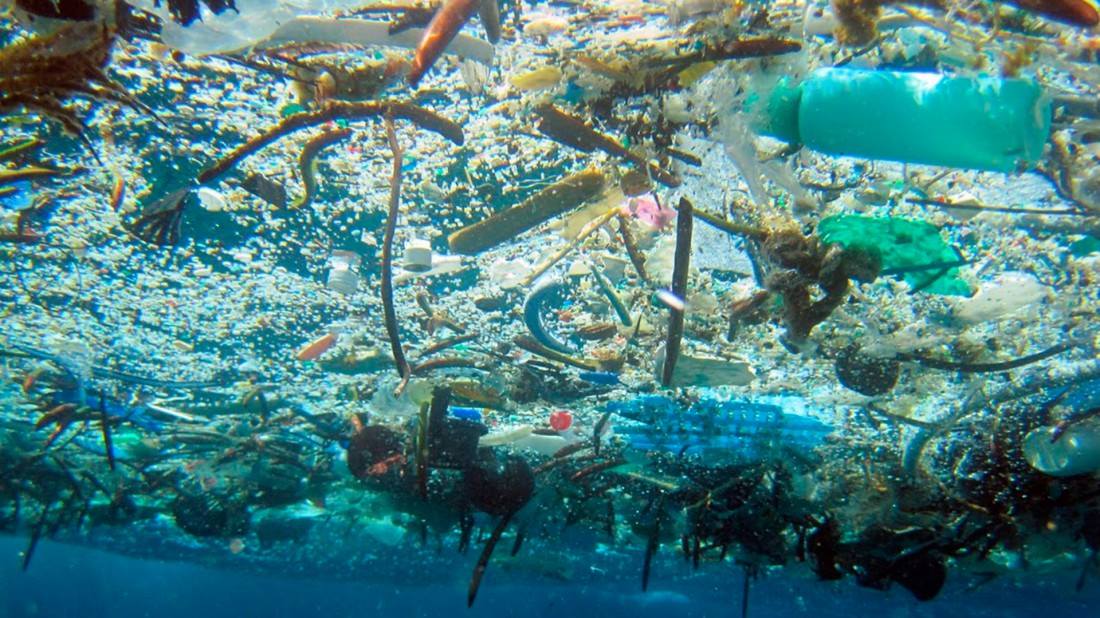 Por: Cortesía Producción de plásticos se ha cuadruplicado en los últimos 30 años y sólo se recicla el 9%: OCDE