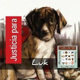 luk2