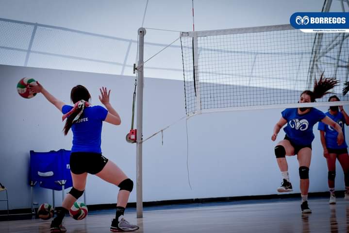 Por: Cortesía Arranca el voleibol universitario en Puebla