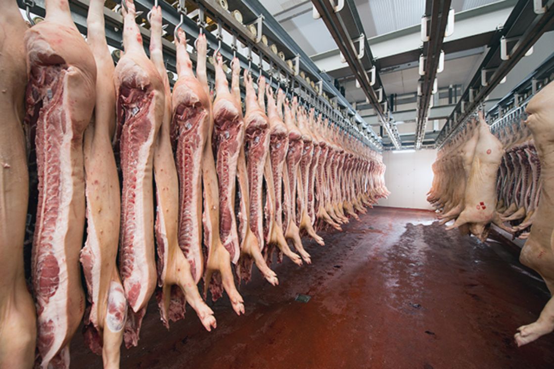 Por: Cortesía Ayuntamiento de Puebla buscará tres certificaciones para el Rastro Municipal