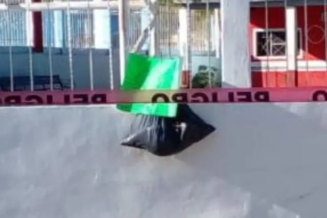 bolsas chietla2