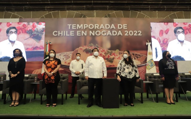 Por: Cortesía Estiman derrama económica de 850 MDP para Puebla por temporada de chiles en nogada